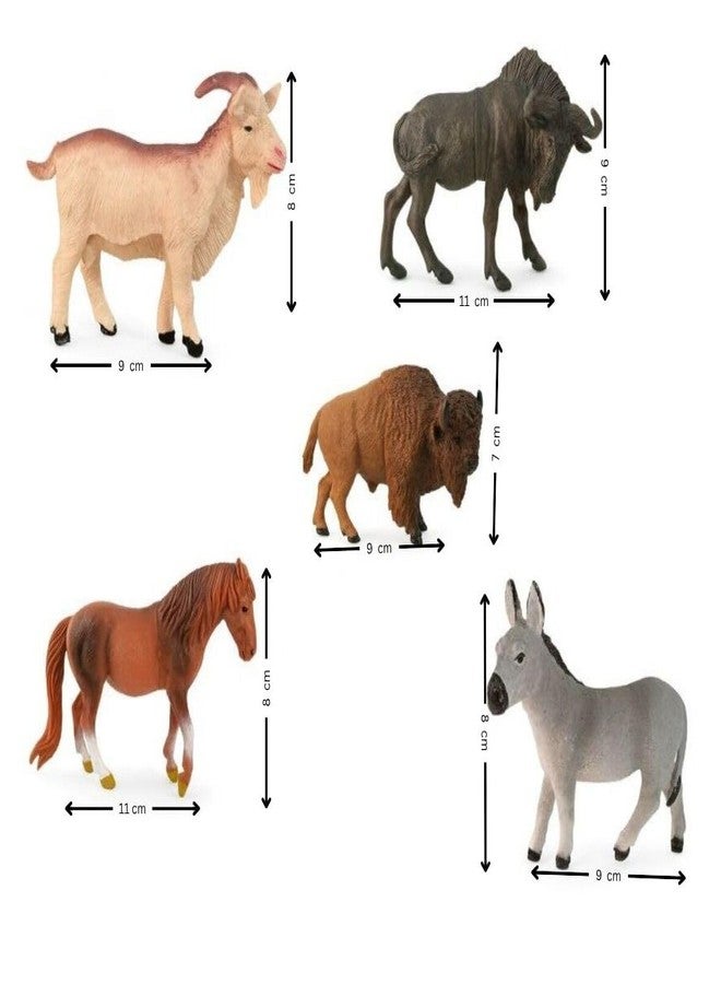 DTR Creation Farm & Wild Animal Figurines Toy Set - 5 Pcs (Goat, Horse, Donkey, Buffalo, Wildebeest) | Educational Animal Toys for Kids | Farm & Safari Animals Playset - Image 4
